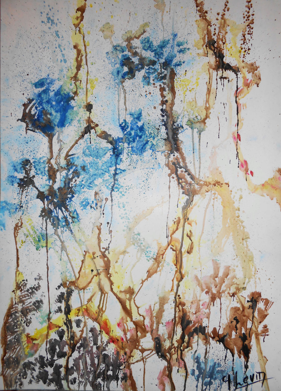 traces myriades