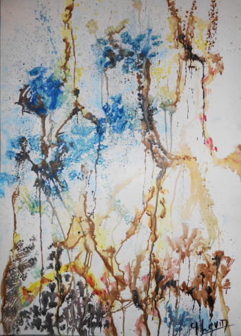 traces myriades