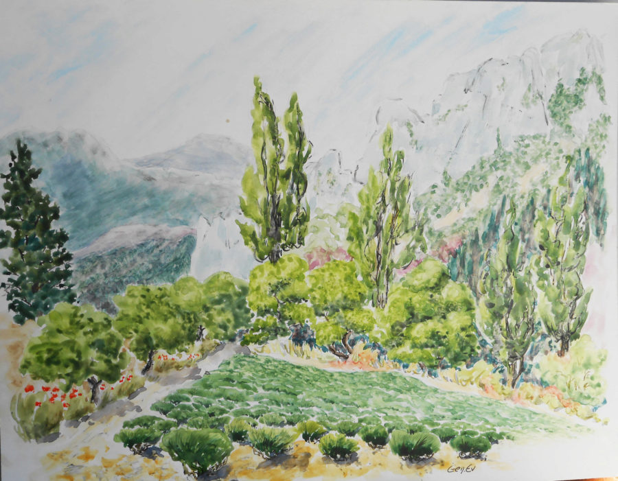 lavande mt eyguier bellecombe