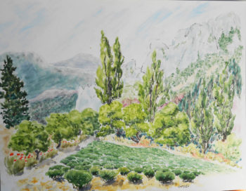 lavande mt eyguier bellecombe