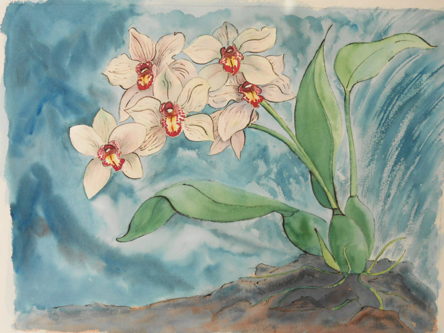 orchidee danse